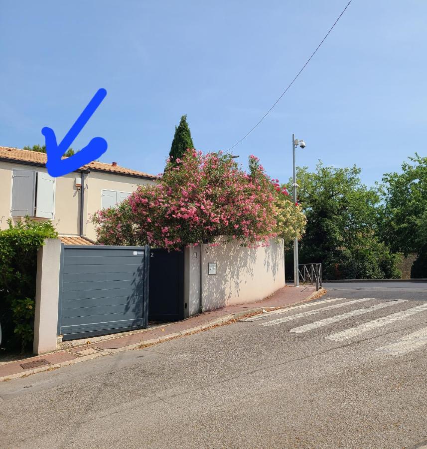 Chez Nous Dans Notre Petit Jardin Apartment Montpellier Exterior foto
